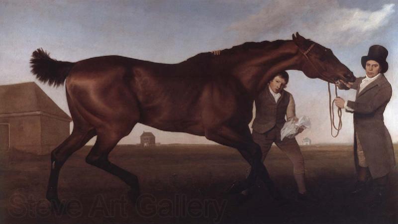 George Stubbs Hambletonian, Rubbing Down France oil painting art